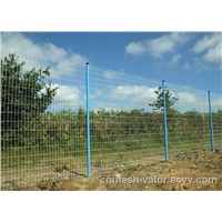 Deep Green PVC Coated Holland Electric Welded Wire Meshes
