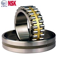 Double Steel Cage Spherical Roller Bearing (22210CC)
