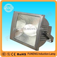 FN-TG06 100W energy saving cheap induction flood light