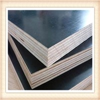 GIGA 18mm laminated melamine plywood price