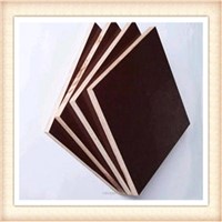 GIGA commercial plywood/12mm film faced plywood