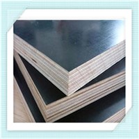 GIGA construction concrete plywood/indonesian hardwood plywood