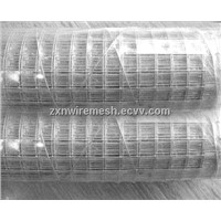 Galvanized welded wire mesh for sale