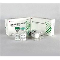 Hyaluronidase