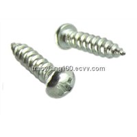 Philips Pan Head Tapping Screws