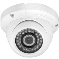 Sony CCD 650TVL Waterproof Outdoor / Indoor Network IP IR CCTV Camera (LSL-416H)