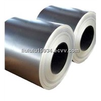 Stainless Steel Coil in Low Price