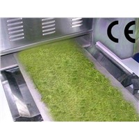 Industrial microwave tea/herbs drying and sterilization machine-eaves tea dryer and sterlizer