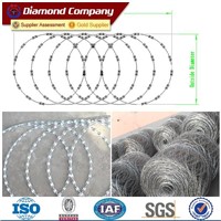 Welded Razor Barbed Wire Fence