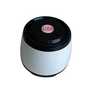 mini V2.1+EDR bluetooth speaker