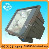outdoor high power FN-TG03 induction flood lights/ induction lighting