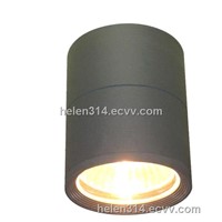 waterproof outdoor aluminum ceiling light/lamp(BO-C733)