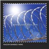 Barb Wire Fence Sale / Straight Razor Barbed Wire/ Airport