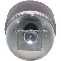 Indoor Security Dome CCD Cameras (LSL-664H)