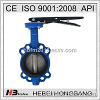 Offer no pin butterfly valve