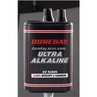 6LR25   6V alkaline dry cell battery