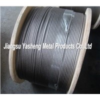 AISI316 7X7 3.0mm Stainless Steel Wire Rope