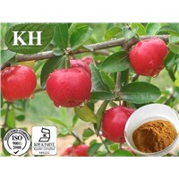 Acerola Cherry Extract Vitamin C 17%-25%