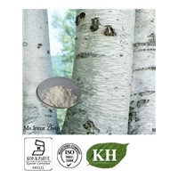 Birch Bark Extract Betulin 70%, 80%, 90%, 98% by HPLC