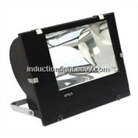 CE certification aluminum induction flood lights with high quality light bulb FG-2