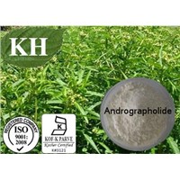 Common Andrographis Herb Extract