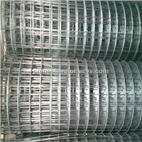 Competitive Price Galvanized Welded Mesh