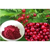 Cranberry Extract 25% to 35% Anthocyanins, 25% to 50% Proanthocyanidins
