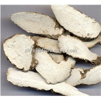 Dahurian Angelica Root Extract (sales07 at nutra-max.com)