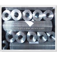 Galvanized Welded Mesh (ISO9001:2008) Manufacture