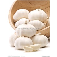 Garlic Extract/Allicin/Alliin