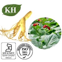 Nutrition Supplements Ginseng Extract Ginsenosides 5%-80%