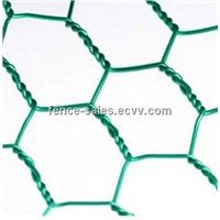 Green PVC Coating Hexagonal Chicken Wire