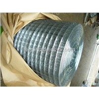 HOT DIPPED GALVANIZED WELDED WIRE MESH