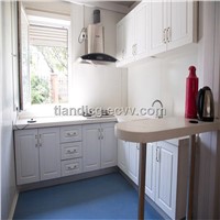 Kitchen Type Container House for Sales