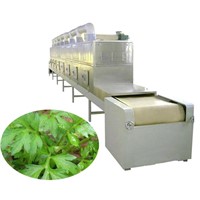 Microwave thyme drying and sterilization equipment-Herb dryer and sterilizer machinery