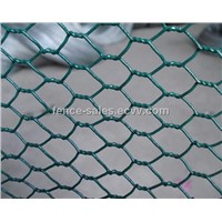 PVC Coated Hexagonal Wire Mesh (Factory Supplier)