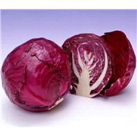 Purple cabbage extract, Purple cabbage red pigment, purple cabbage color, red cabbage color