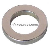 Rare Earth Neodymium Magnet