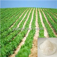 Super absorbent polymer SAP potassium polyacrylate for agriculture