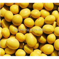 Supply Soybean Extract Powder 40%