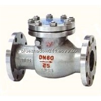 Swing Check Valve