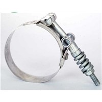 T Type Hose Clamps