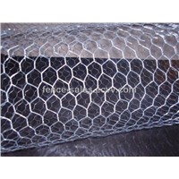 Electro-Galvanized Hexagonal Wire Mesh