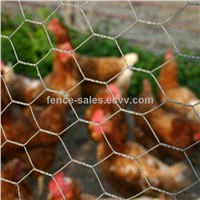 Galvanized Hexagonal Wire Netting /Chicken Wire/ Hexagonal Wire Mesh