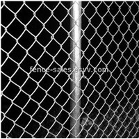 Galvanized Rhombus Wire Mesh/ Chain Link Fence (Anping Direct Factory)