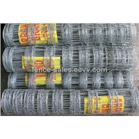 Hot-Dipped Galvanized Farm Fence/Field Fence