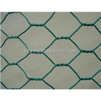 PVC Coated Hexagonal Wire Mesh (Professional Manufacturer)