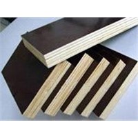 two hot press film faced plywood manufacturer