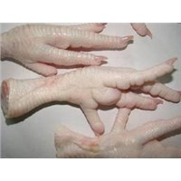 Frozen Chicken feet and Paws ( A grade)