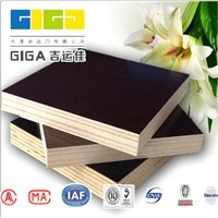15mm plywood sheet marine veneer plywood price